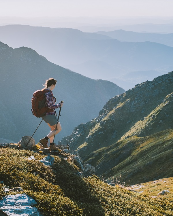 Offering Incredibly Sturdy Support Offering Incredibly Sturdy Support