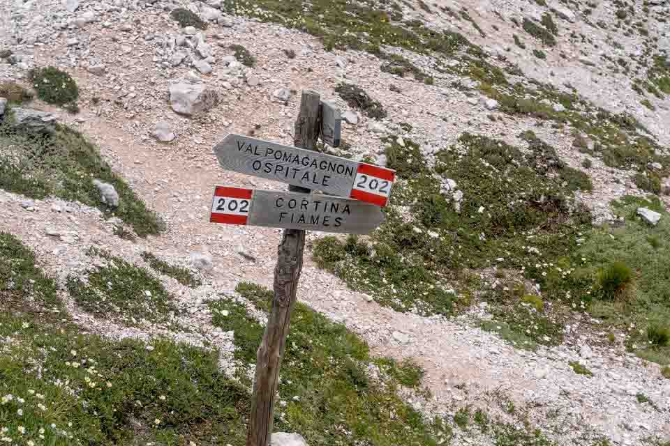 Signs back to Fiames Signs back to Fiames