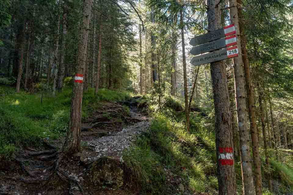 Sign mounted on tree trunks pointing to ‘Ferrata Strobel’ Sign mounted on tree trunks pointing to ‘Ferrata Strobel’