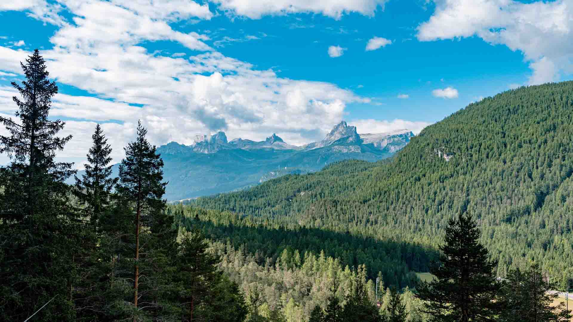 View between the trees from the Ferrata Strobel trail View between the trees from the Ferrata Strobel trail
