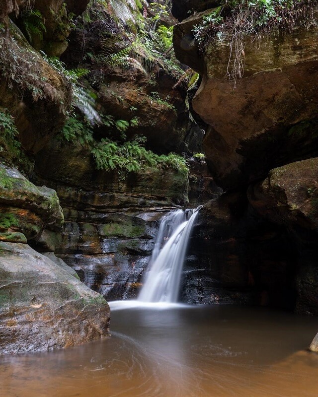 Fern-framed pools are the stuff of fairy tales Fern-framed pools are the stuff of fairy tales
