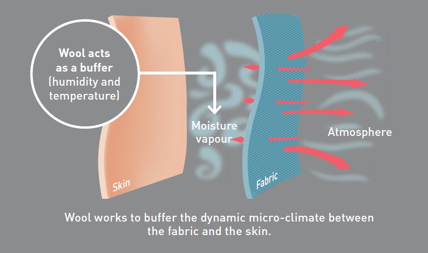 Merino Wool & Woolmark Technology Merino Wool & Woolmark Technology